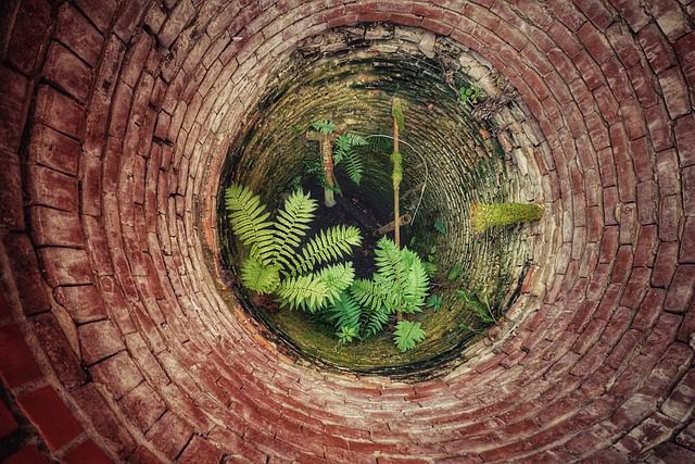pozo con plantas decorativas en su interior
