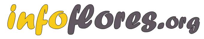 InfoFlores