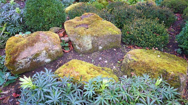 Cómo poner piedras decorativas en el jardín