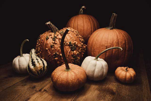 tipos de calabazas